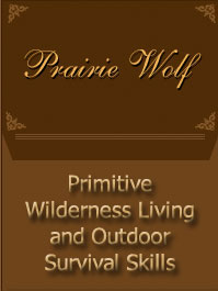 Prairie Wolf